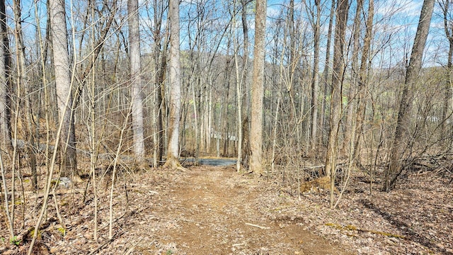 0 Pike Lake Rd (Tract 4Pike Lake Getaway), Unit Tract 4Pike Lake Getaway Bainbridge, OH 45612