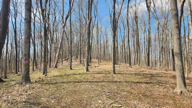 0 Pike Lake Rd (Tract 4Pike Lake Getaway), Unit Tract 4Pike Lake Getaway Bainbridge, OH 45612