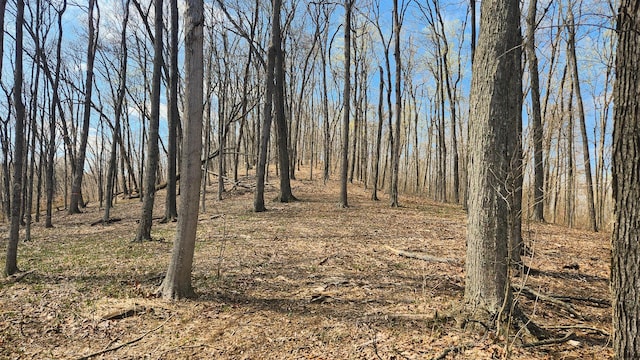 0 Pike Lake Rd (Tract 4Pike Lake Getaway), Unit Tract 4Pike Lake Getaway Bainbridge, OH 45612