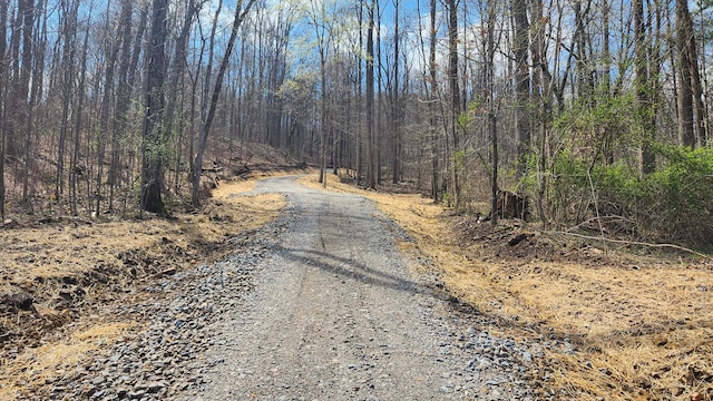 0 Pike Lake Rd (Tract 4Pike Lake Getaway), Unit Tract 4Pike Lake Getaway Bainbridge, OH 45612