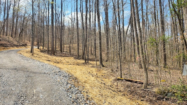 0 Pike Lake Rd (Tract 4Pike Lake Getaway), Unit Tract 4Pike Lake Getaway Bainbridge, OH 45612