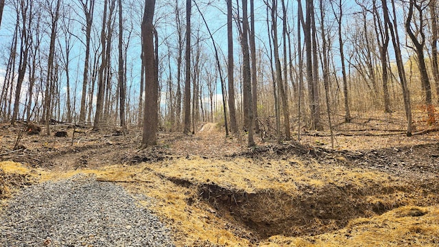 0 Pike Lake Rd (Tract 4Pike Lake Getaway), Unit Tract 4Pike Lake Getaway Bainbridge, OH 45612