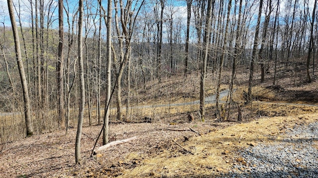 0 Pike Lake Rd (Tract 4Pike Lake Getaway), Unit Tract 4Pike Lake Getaway Bainbridge, OH 45612