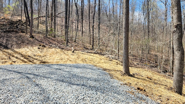 0 Pike Lake Rd (Tract 4Pike Lake Getaway), Unit Tract 4Pike Lake Getaway Bainbridge, OH 45612