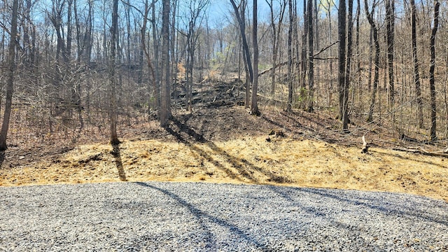 0 Pike Lake Rd (Tract 4Pike Lake Getaway), Unit Tract 4Pike Lake Getaway Bainbridge, OH 45612