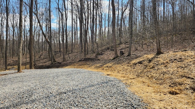 0 Pike Lake Rd (Tract 4Pike Lake Getaway), Unit Tract 4Pike Lake Getaway Bainbridge, OH 45612