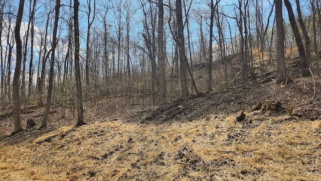0 Pike Lake Rd (Tract 4Pike Lake Getaway), Unit Tract 4Pike Lake Getaway Bainbridge, OH 45612