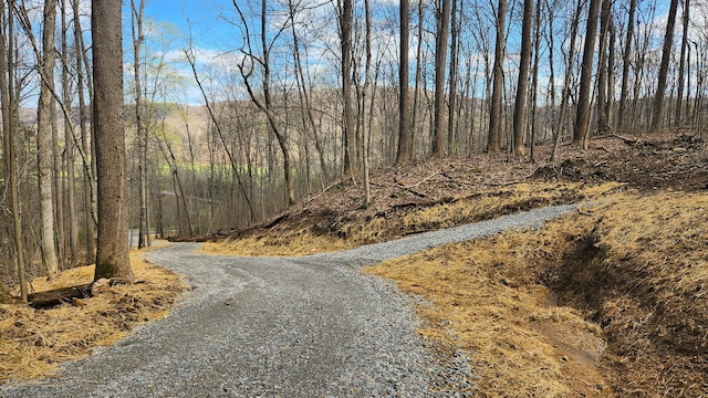 0 Pike Lake Rd (Tract 4Pike Lake Getaway), Unit Tract 4Pike Lake Getaway Bainbridge, OH 45612
