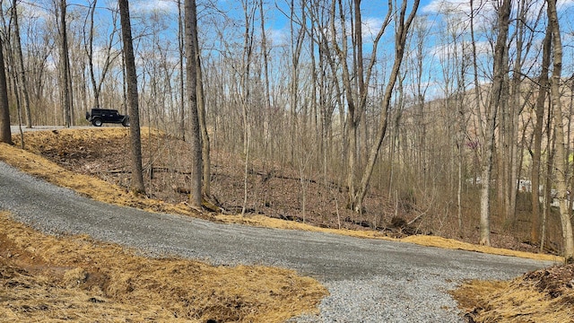 0 Pike Lake Rd (Tract 4Pike Lake Getaway), Unit Tract 4Pike Lake Getaway Bainbridge, OH 45612