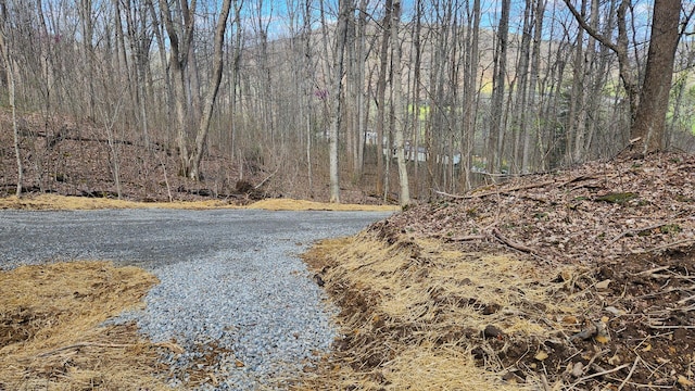 0 Pike Lake Rd (Tract 4Pike Lake Getaway), Unit Tract 4Pike Lake Getaway Bainbridge, OH 45612