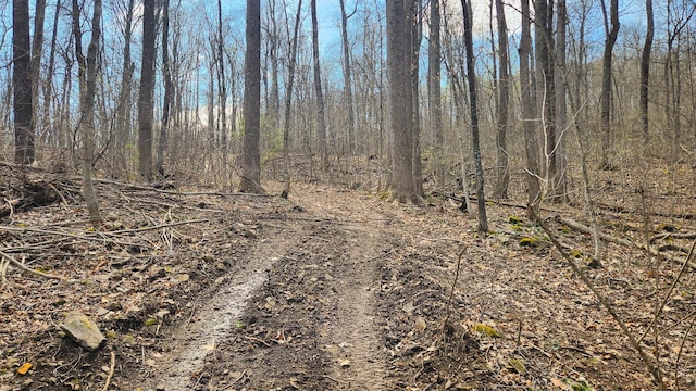 0 Pike Lake Rd (Tract 4Pike Lake Getaway), Unit Tract 4Pike Lake Getaway Bainbridge, OH 45612