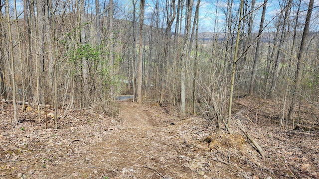 0 Pike Lake Rd (Tract 4Pike Lake Getaway), Unit Tract 4Pike Lake Getaway Bainbridge, OH 45612
