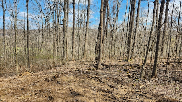 0 Pike Lake Rd (Tract 4Pike Lake Getaway), Unit Tract 4Pike Lake Getaway Bainbridge, OH 45612