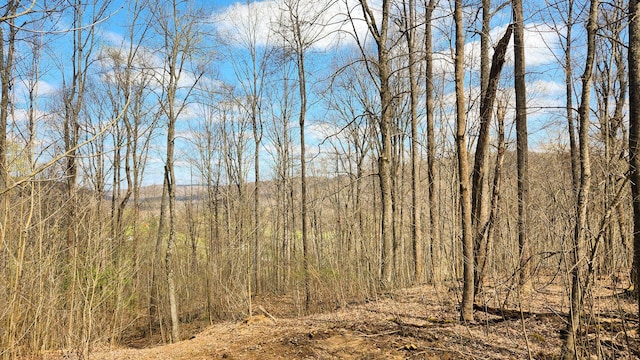 0 Pike Lake Rd (Tract 4Pike Lake Getaway), Unit Tract 4Pike Lake Getaway Bainbridge, OH 45612