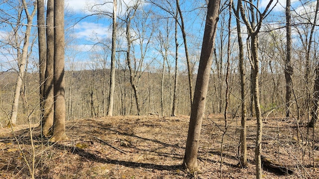0 Pike Lake Rd (Tract 4Pike Lake Getaway), Unit Tract 4Pike Lake Getaway Bainbridge, OH 45612