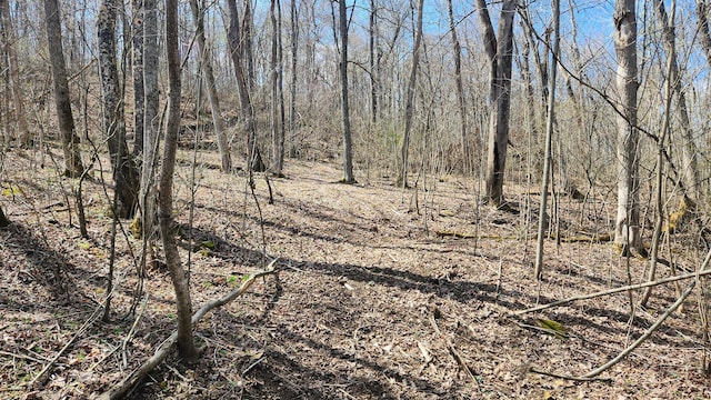 0 Pike Lake Rd (Tract 4Pike Lake Getaway), Unit Tract 4Pike Lake Getaway Bainbridge, OH 45612
