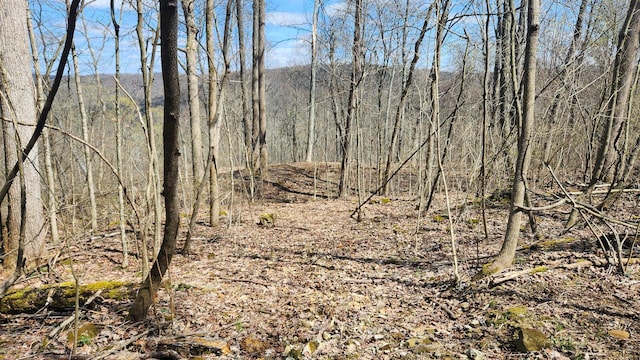 0 Pike Lake Rd (Tract 4Pike Lake Getaway), Unit Tract 4Pike Lake Getaway Bainbridge, OH 45612