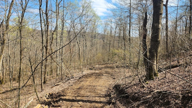 0 Pike Lake Rd (Tract 4Pike Lake Getaway), Unit Tract 4Pike Lake Getaway Bainbridge, OH 45612
