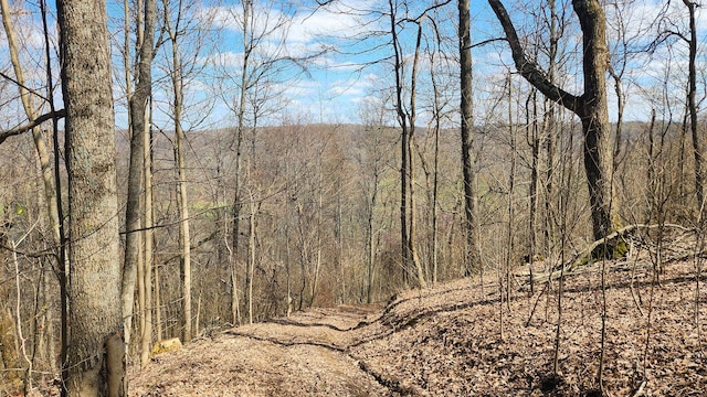 0 Pike Lake Rd (Tract 4Pike Lake Getaway), Unit Tract 4Pike Lake Getaway Bainbridge, OH 45612