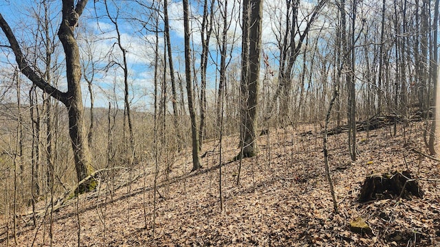 0 Pike Lake Rd (Tract 4Pike Lake Getaway), Unit Tract 4Pike Lake Getaway Bainbridge, OH 45612