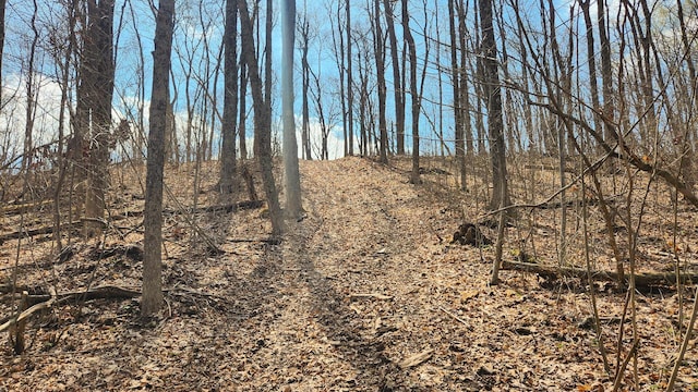 0 Pike Lake Rd (Tract 4Pike Lake Getaway), Unit Tract 4Pike Lake Getaway Bainbridge, OH 45612