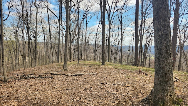 0 Pike Lake Rd (Tract 4Pike Lake Getaway), Unit Tract 4Pike Lake Getaway Bainbridge, OH 45612