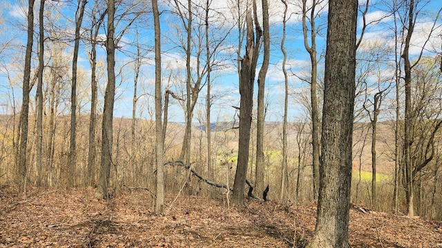 0 Pike Lake Rd (Tract 4Pike Lake Getaway), Unit Tract 4Pike Lake Getaway Bainbridge, OH 45612
