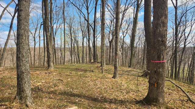 0 Pike Lake Rd (Tract 4Pike Lake Getaway), Unit Tract 4Pike Lake Getaway Bainbridge, OH 45612