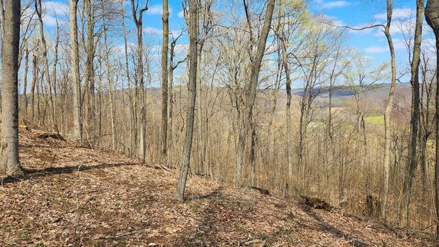 0 Pike Lake Rd (Tract 4Pike Lake Getaway), Unit Tract 4Pike Lake Getaway Bainbridge, OH 45612