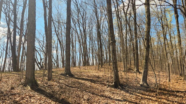 0 Pike Lake Rd (Tract 4Pike Lake Getaway), Unit Tract 4Pike Lake Getaway Bainbridge, OH 45612