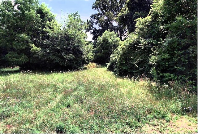 2326 Rankin Ave, Columbus OH, 43211 land for sale