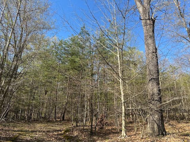 view of landscape featuring a forest view