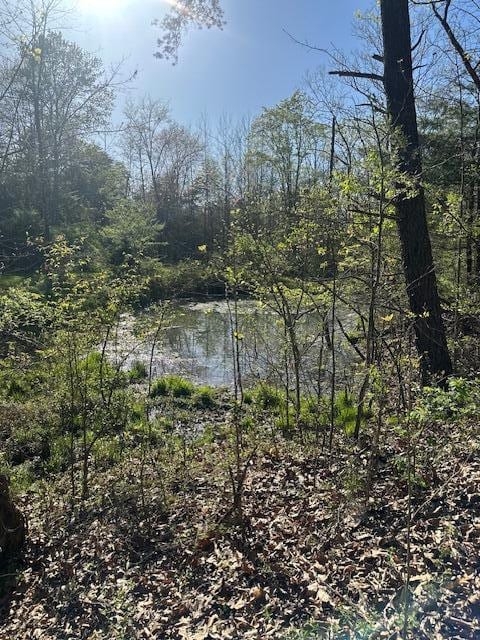 view of water feature featuring a view of trees