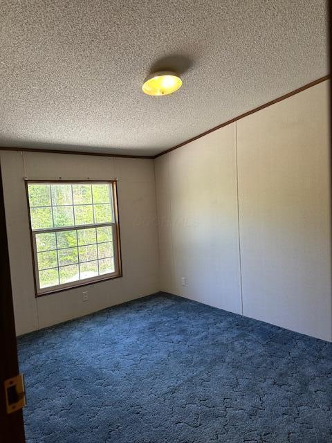 35310 Geiger Rd, Logan, OH 43138 - empty room featuring a textured ceiling, dark carpet, and ornamental molding
