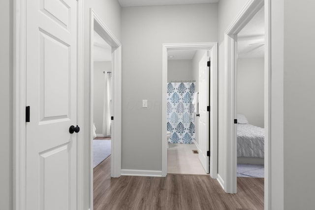 6464 Rockhold Dr, Westerville, OH 43081 - hall featuring wood finished floors and baseboards
