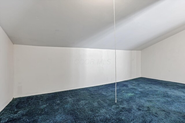 additional living space with carpet and vaulted ceiling