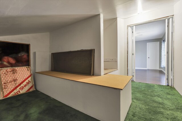 interior space featuring carpet floors