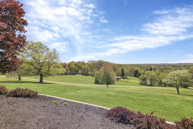 view of property's community featuring a yard