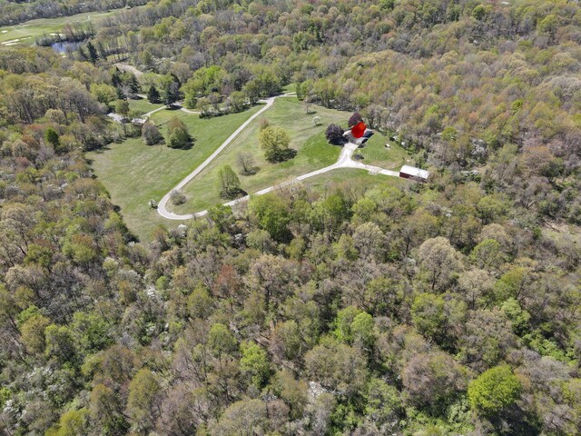 bird's eye view with a forest view