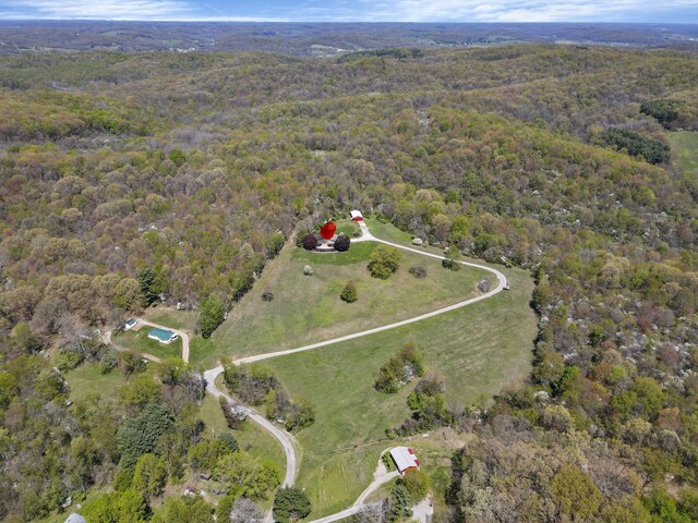 bird's eye view with a forest view