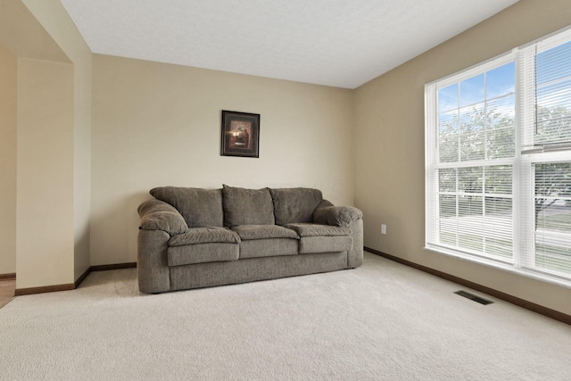 6495 Saylor St, Canal Winchester, OH 43110 - living room with light carpet and baseboards