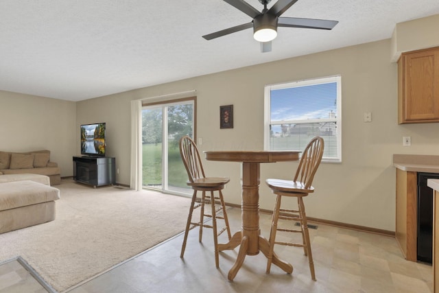 6495 Saylor St, Canal Winchester, OH 43110 - dining area featuring a ceiling fan, a textured ceiling, and baseboards