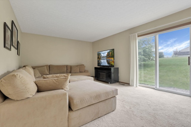 6495 Saylor St, Canal Winchester, OH 43110 - living room with carpet floors