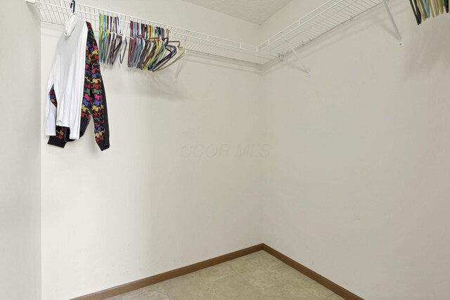 6495 Saylor St, Canal Winchester, OH 43110 - view of spacious closet