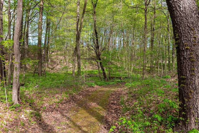 view of local wilderness featuring a forest view