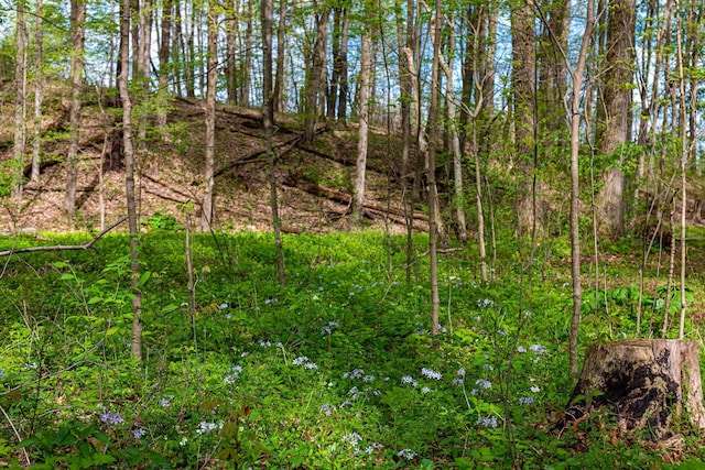 view of nature