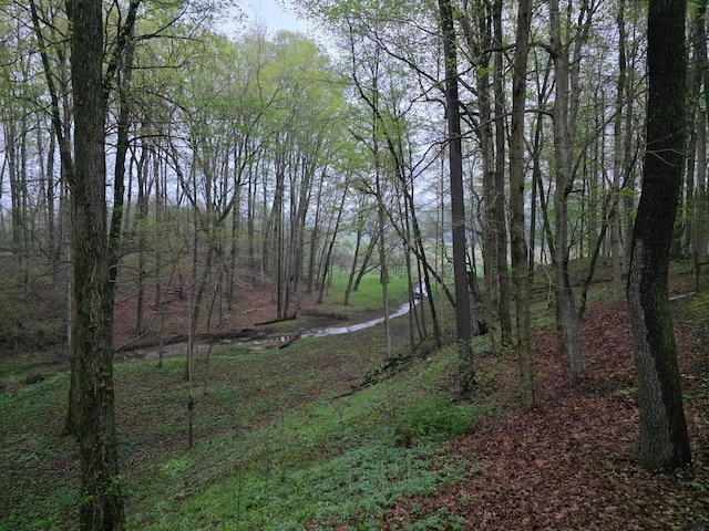 view of landscape featuring a view of trees