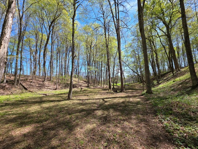 view of local wilderness