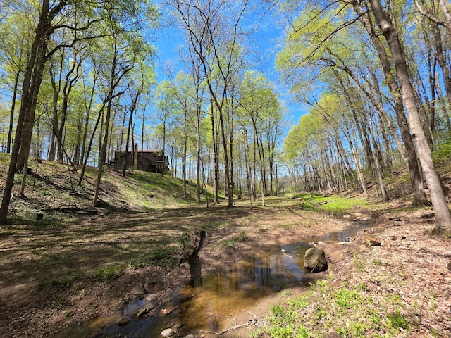 view of landscape