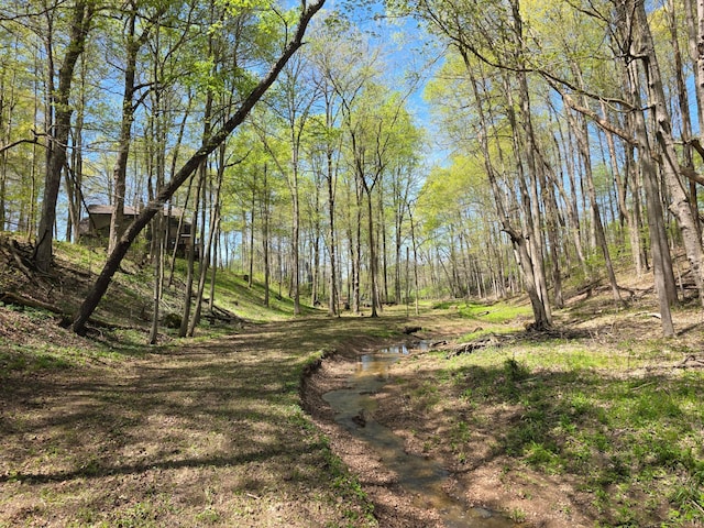 view of landscape